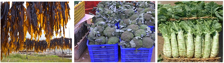&#20159;&#24503;&#20307;&#32946;&#40;&#20013;&#22269;&#41;&#20307;&#32946;&#23448;&#26041;&#32593;&#31449;